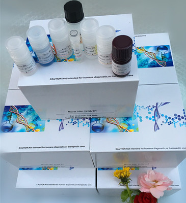 试剂盒的样本稀释液可不可以混合使用-技术文章-上海沪鼎生物科技有限公司